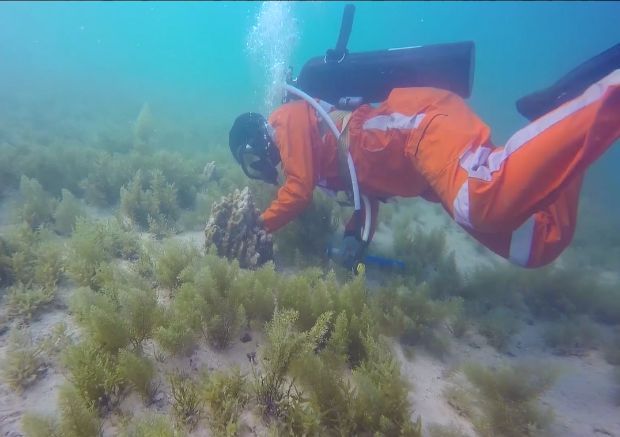 首页- 人生就是博中国官方网站