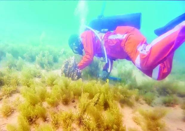 首页- 人生就是博中国官方网站