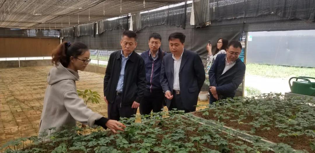 首页- 人生就是博中国官方网站