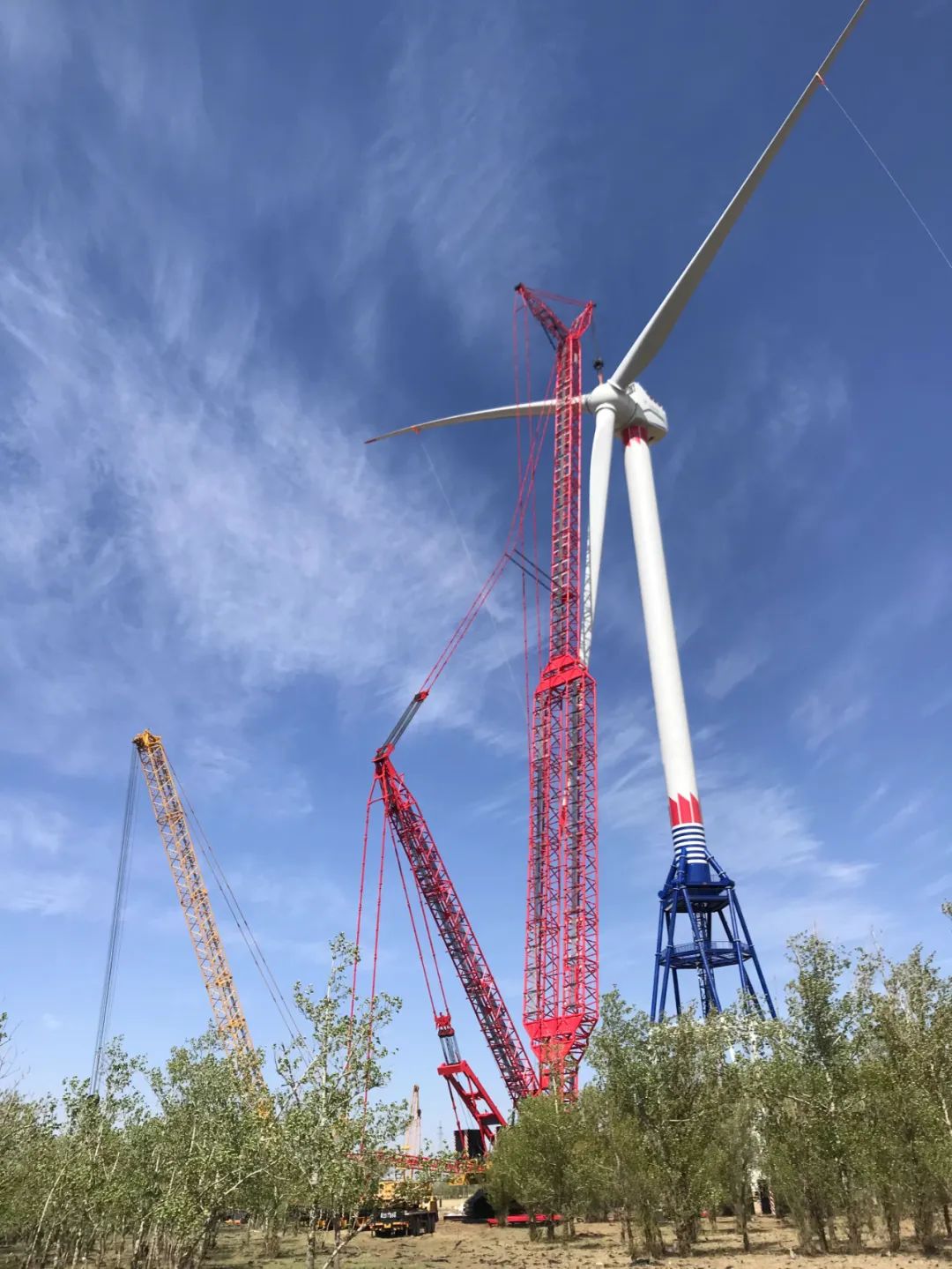 首页- 人生就是博中国官方网站